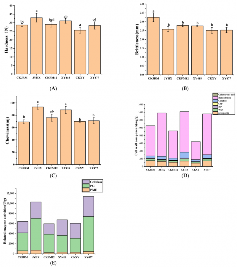 微信圖片_2026-04-07_133156_510